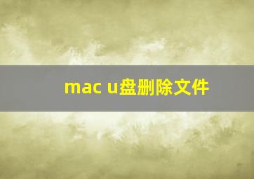 mac u盘删除文件